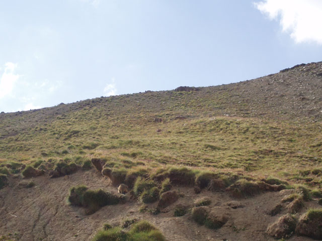 P1010061